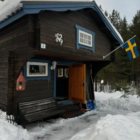 Restful cabin with sauna